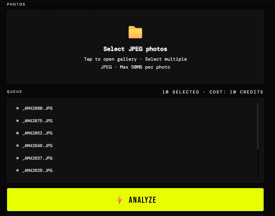 Select and queue JPEGs to cull, with credit cost shown